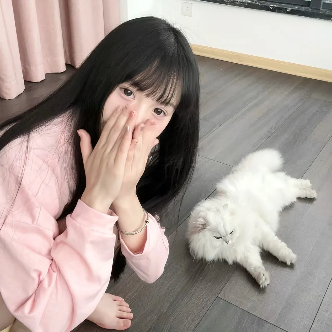 孤独的美食家 第七季
